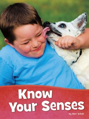 Know Your Senses - ebook